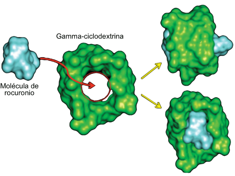 Alergia/Anafilaxia por sugammadex&nbsp;(ciclodextrina)